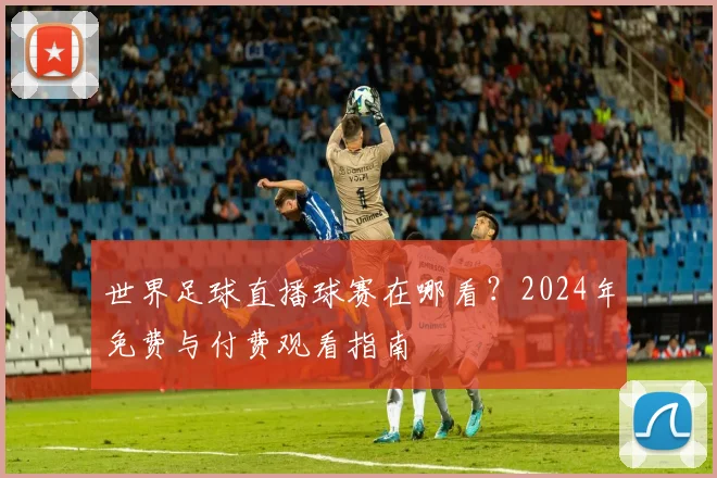 世界足球直播球赛在哪看?2024年免费与付费观看指南