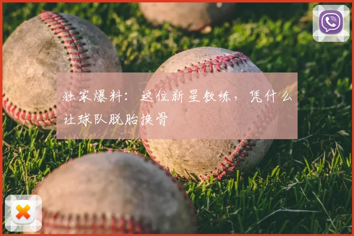 独家爆料:这位新星教练,凭什么让球队脱胎换骨